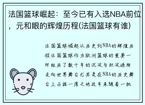 法国篮球崛起：至今已有入选NBA前位，元和眼的辉煌历程(法国篮球有谁)