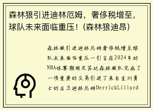 森林狼引进迪林厄姆，奢侈税增至，球队未来面临重压！(森林狼迪昂)